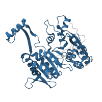 The deposited structure of PDB entry 3icd contains 1 copy of Pfam domain PF00180 (Isocitrate/isopropylmalate dehydrogenase) in Isocitrate dehydrogenase [NADP]. Showing 1 copy in chain A.