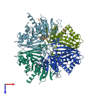 PDB entry 3ids coloured by chain, top view.