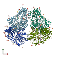 PDB entry 3iel coloured by chain, front view.