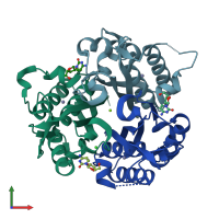 PDB entry 3ieq coloured by chain, front view.