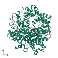 PDB entry 3ig8 coloured by chain, front view.