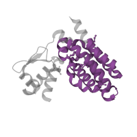 The deposited structure of PDB entry 3ihu contains 2 copies of Pfam domain PF07729 (FCD domain) in HTH gntR-type domain-containing protein. Showing 1 copy in chain A.