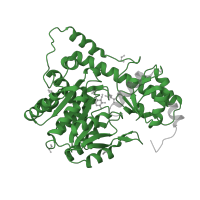 The deposited structure of PDB entry 3ii0 contains 4 copies of Pfam domain PF00155 (Aminotransferase class I and II) in Aspartate aminotransferase, cytoplasmic. Showing 1 copy in chain C.