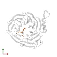 Histone H4 in PDB entry 3ij1, assembly 1, front view.