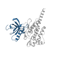 The deposited structure of PDB entry 3ik3 contains 2 copies of CATH domain 3.30.200.20 (Phosphorylase Kinase; domain 1) in Tyrosine-protein kinase ABL1. Showing 1 copy in chain B.