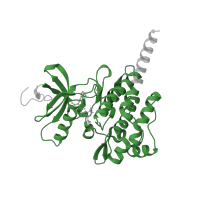 The deposited structure of PDB entry 3ik3 contains 2 copies of Pfam domain PF07714 (Protein tyrosine and serine/threonine kinase) in Tyrosine-protein kinase ABL1. Showing 1 copy in chain B.