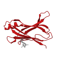 The deposited structure of PDB entry 3imt contains 2 copies of CATH domain 2.60.40.180 (Immunoglobulin-like) in Transthyretin. Showing 1 copy in chain A.