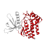 The deposited structure of PDB entry 3iok contains 1 copy of CATH domain 1.10.510.10 (Transferase(Phosphotransferase); domain 1) in Tyrosine-protein kinase JAK2. Showing 1 copy in chain A.