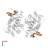 Nuclear receptor coactivator 1 in PDB entry 3ipq, assembly 1, top view.