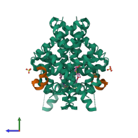 Hetero tetrameric assembly 1 of PDB entry 3ips coloured by chemically distinct molecules, side view.