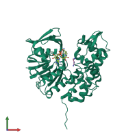 3D model of 3iqd from PDBe
