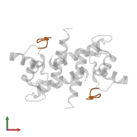 TRTK12 peptide, CapZ protein in PDB entry 3iqq, assembly 1, front view.