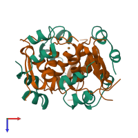 Hetero dodecameric assembly 2 of PDB entry 3ir0 coloured by chemically distinct molecules, top view.