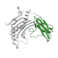 The deposited structure of PDB entry 3it8 contains 6 copies of CATH domain 2.60.40.10 (Immunoglobulin-like) in Ig-like domain-containing protein. Showing 1 copy in chain D.