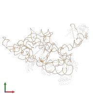 Leishmania tarentolae mitochondrial small subunit in PDB entry 3iy8, assembly 1, front view.