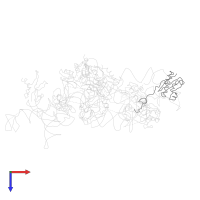 Small ribosomal subunit protein uS9 in PDB entry 3iy8, assembly 1, top view.