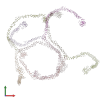 PDB entry 3iyv coloured by chain, front view.