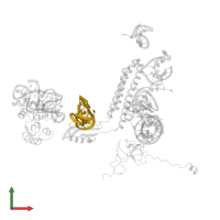 23S ribosomal RNA in PDB entry 3j0d, assembly 1, front view.