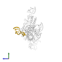 23S ribosomal RNA in PDB entry 3j0d, assembly 1, side view.