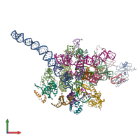 PDB entry 3j0o coloured by chain, front view.