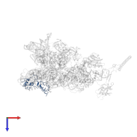 Large ribosomal subunit protein uL11A in PDB entry 3j16, assembly 1, top view.