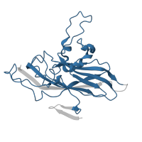 The deposited structure of PDB entry 3j22 contains 1 copy of Pfam domain PF00073 (picornavirus capsid protein) in capsid protein VP0. Showing 1 copy in chain B.