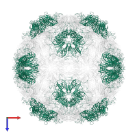 capsid protein VP1 in PDB entry 3j22, assembly 1, top view.