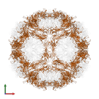 capsid protein VP0 in PDB entry 3j22, assembly 1, front view.