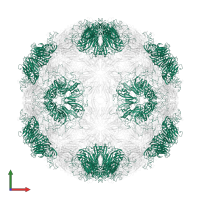 capsid protein VP1 in PDB entry 3j23, assembly 1, front view.