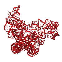 The deposited structure of PDB entry 3j2c contains 1 copy of Rfam domain RF00177 (Bacterial small subunit ribosomal RNA) in 16S rRNA head domain. Showing 1 copy in chain A [auth M].