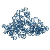 The deposited structure of PDB entry 3j2c contains 1 copy of Rfam domain RF00177 (Bacterial small subunit ribosomal RNA) in 16S rRNA body domain. Showing 1 copy in chain B [auth N].