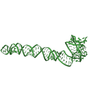 The deposited structure of PDB entry 3j2c contains 1 copy of Rfam domain RF00177 (Bacterial small subunit ribosomal RNA) in 16S rRNA body domain. Showing 1 copy in chain C [auth O].