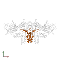 Small envelope protein M in PDB entry 3j2p, assembly 1, front view.