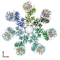 PDB entry 3j2t coloured by chain, front view.