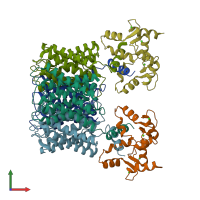 PDB entry 3j41 coloured by chain, front view.