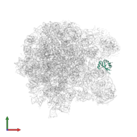 Large ribosomal subunit protein bL25 in PDB entry 3j5l, assembly 1, front view.