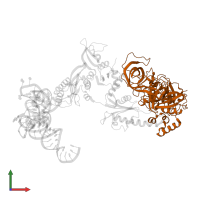 Eukaryotic peptide chain release factor GTP-binding subunit ERF3A in PDB entry 3j5y, assembly 1, front view.
