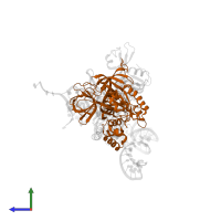 Eukaryotic peptide chain release factor GTP-binding subunit ERF3A in PDB entry 3j5y, assembly 1, side view.