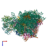 PDB entry 3j6b coloured by chain, top view.