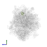 Large ribosomal subunit protein eL31A in PDB entry 3j6y, assembly 1, side view.