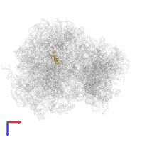 Large ribosomal subunit protein eL42A in PDB entry 3j6y, assembly 1, top view.