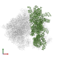 18S Ribosomal RNA in PDB entry 3j6y, assembly 1, front view.