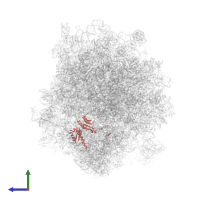 Small ribosomal subunit protein uS3 in PDB entry 3j6y, assembly 1, side view.