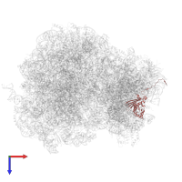 Small ribosomal subunit protein uS3 in PDB entry 3j6y, assembly 1, top view.