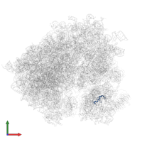 Small ribosomal subunit protein uS14A in PDB entry 3j6y, assembly 1, front view.