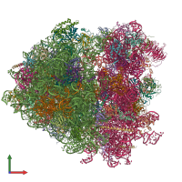 PDB entry 3j77 coloured by chain, front view.