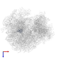 Large ribosomal subunit protein eL31A in PDB entry 3j77, assembly 1, top view.