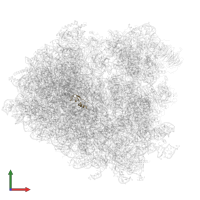 Ubiquitin-ribosomal protein eL40A fusion protein in PDB entry 3j77, assembly 1, front view.