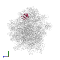 Small ribosomal subunit protein RACK1 in PDB entry 3j77, assembly 1, side view.