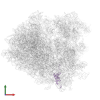 Small ribosomal subunit protein eS8A in PDB entry 3j77, assembly 1, front view.